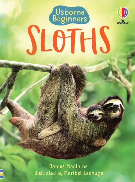 Sloths Usborne Beginners by Usborne