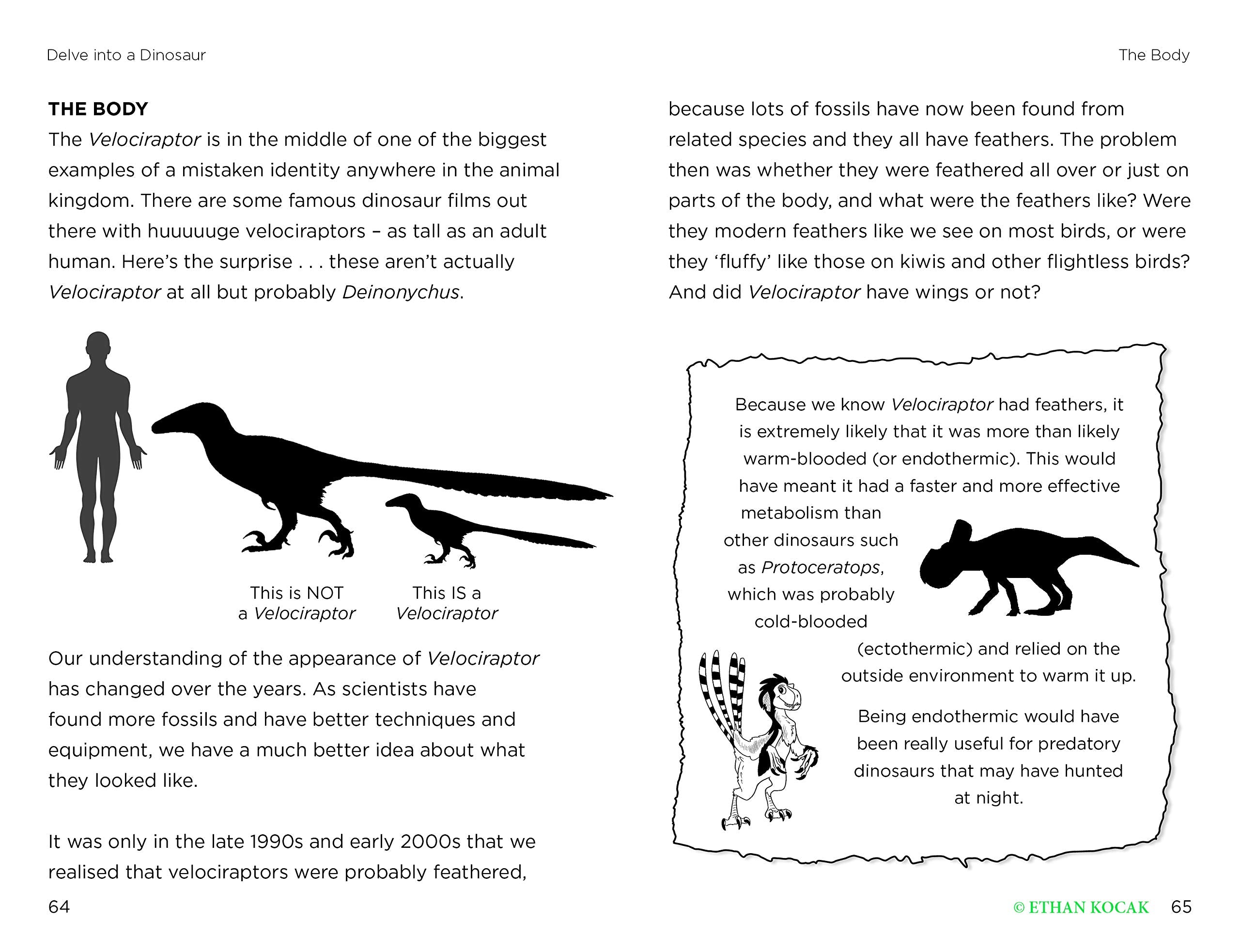 So You Think You Know About… Velociraptor by Kane Miller 3