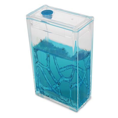 Space Ant Pocket Colony by Heebie Jeebies 1