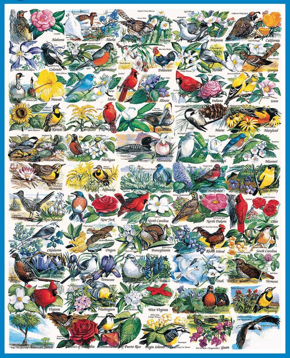 State Birds Flowers Puzzle by White Mountain Puzzles
