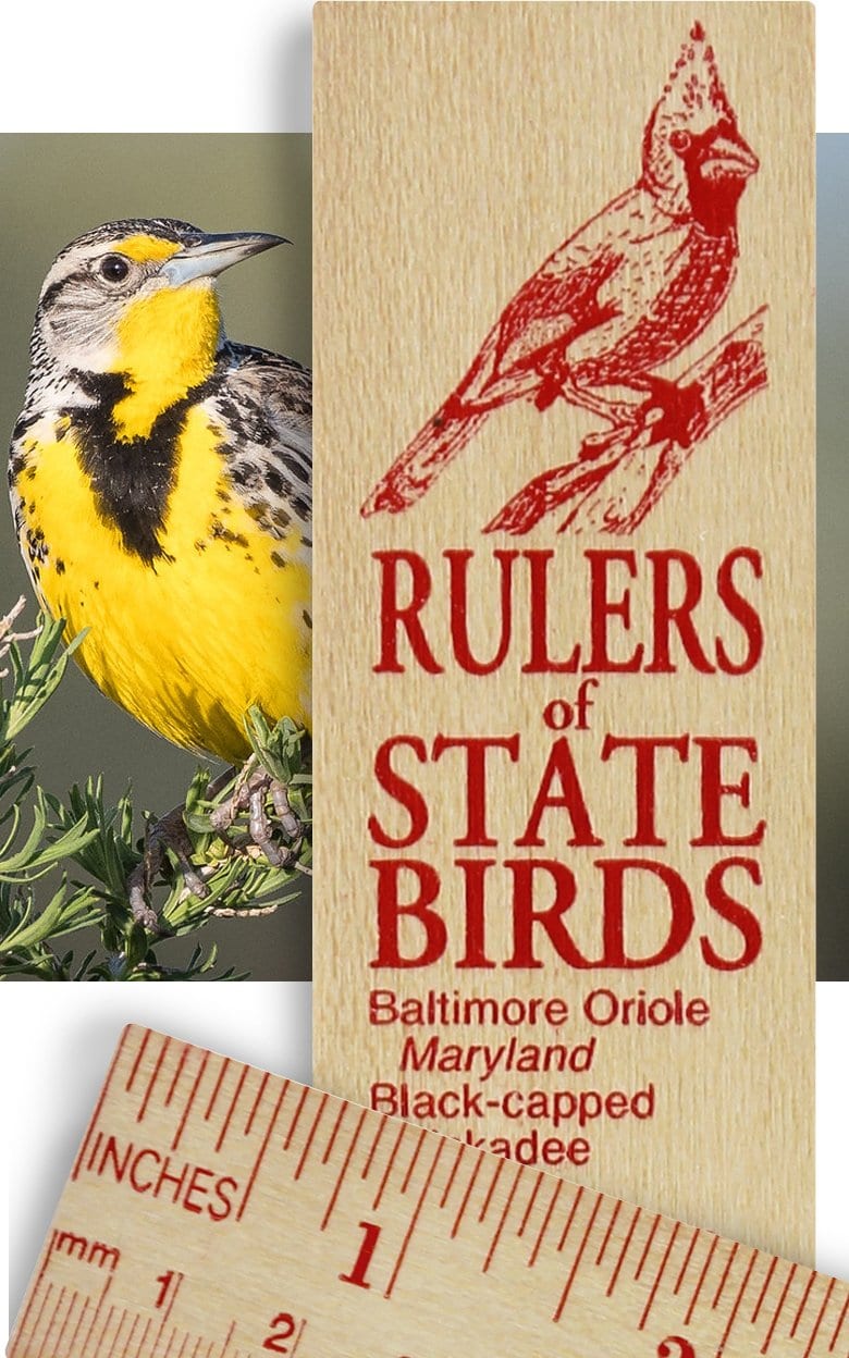 State Birds Ruler by Rich Frog