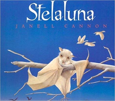 Stellaluna by Houghton Mifflin