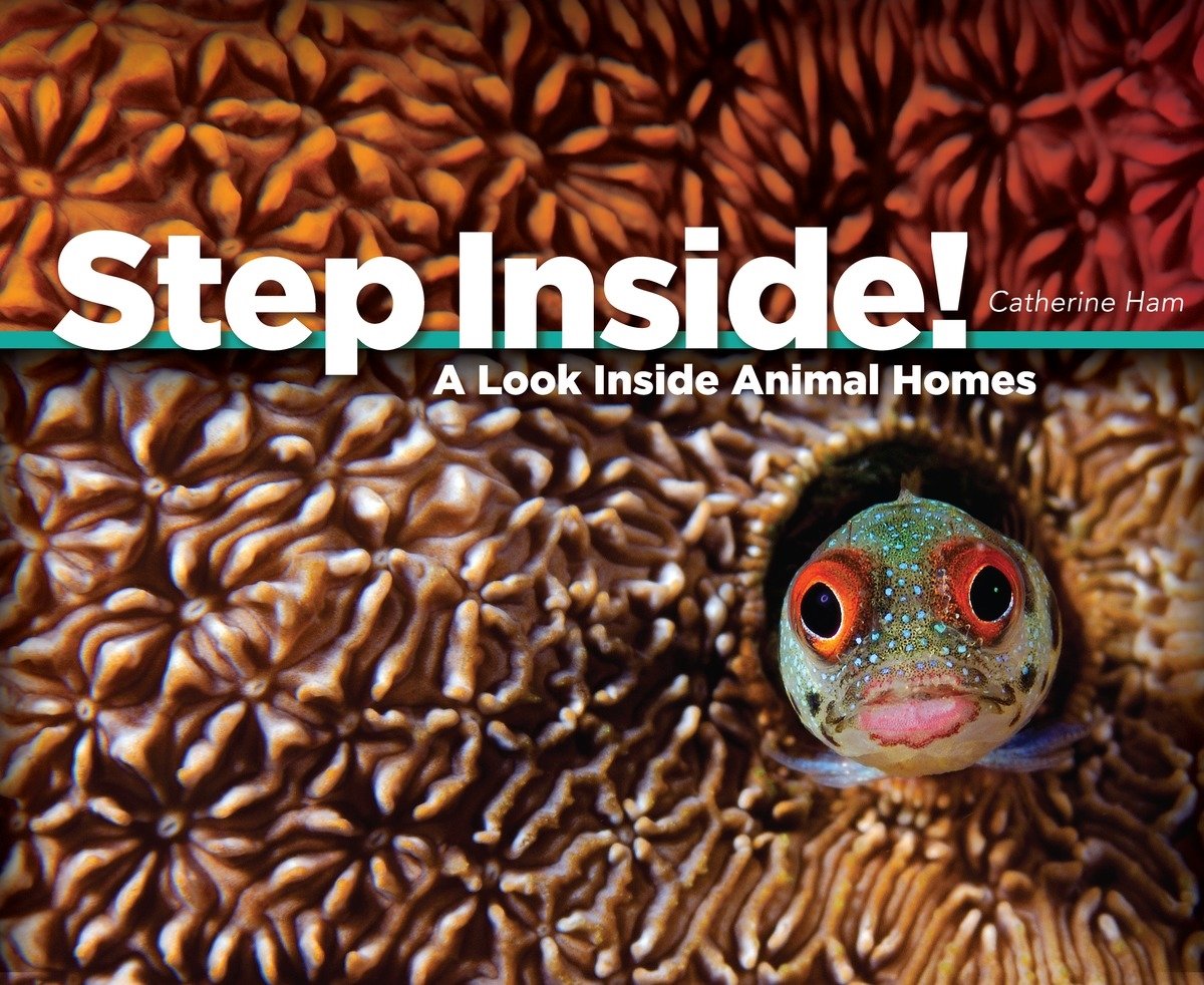 Step Inside!: A Look Inside Animal Homes-by-Penguin Random House