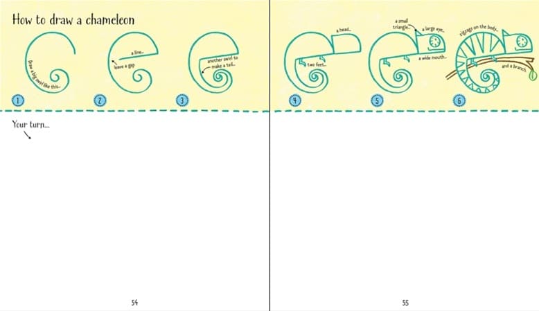 Step by Step Drawing Animals by Usborne 1