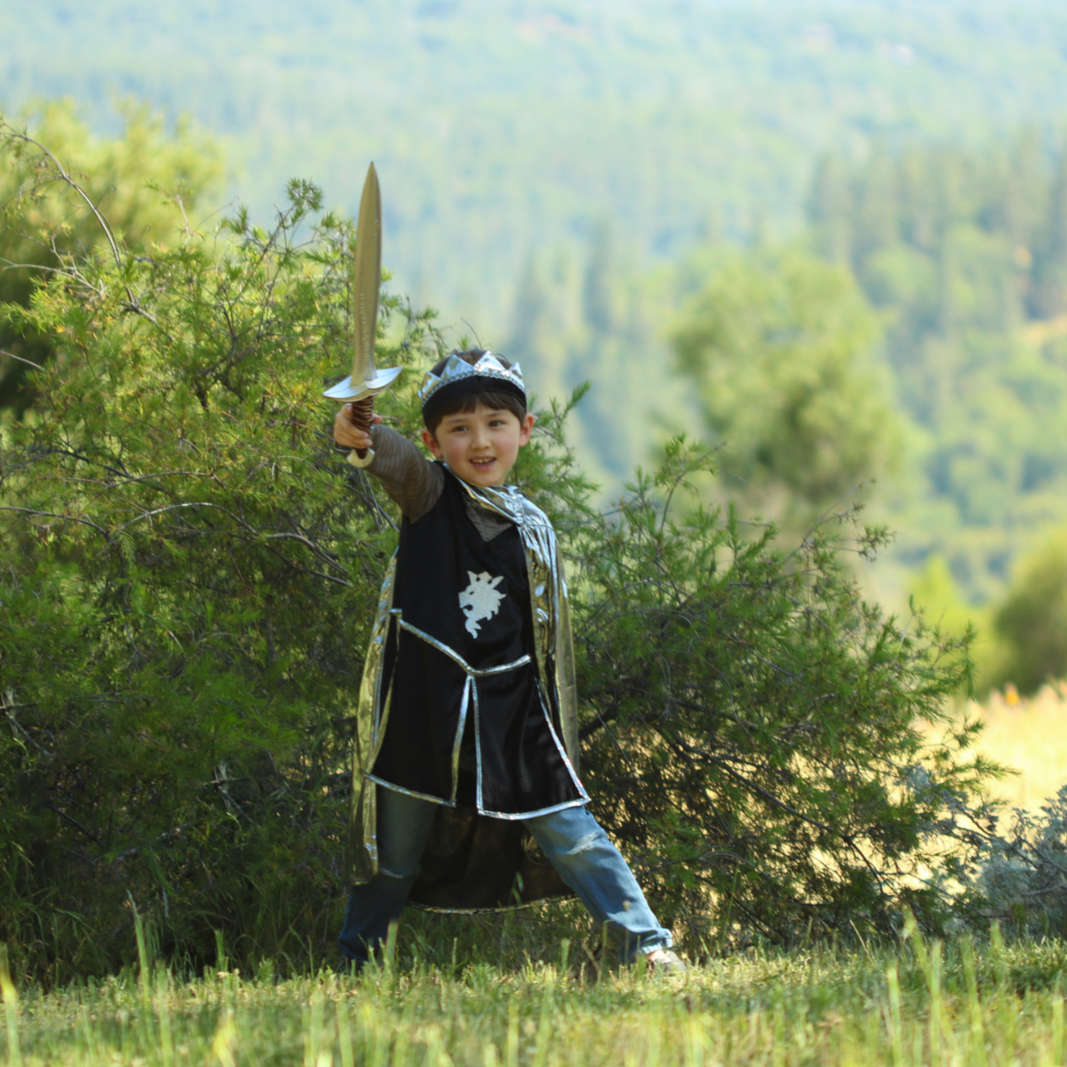 Sting Sword by Great Pretenders 1