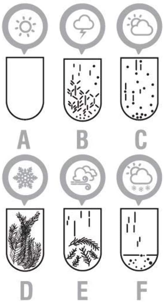 Storm Glass Cloud by Heebie Jeebies 3