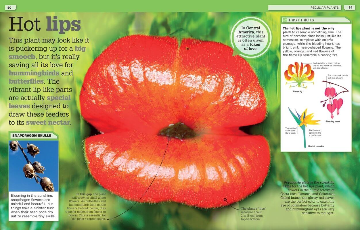 Strange But True Our Weird Wild Wonderful World by Dorling Kindersley 3