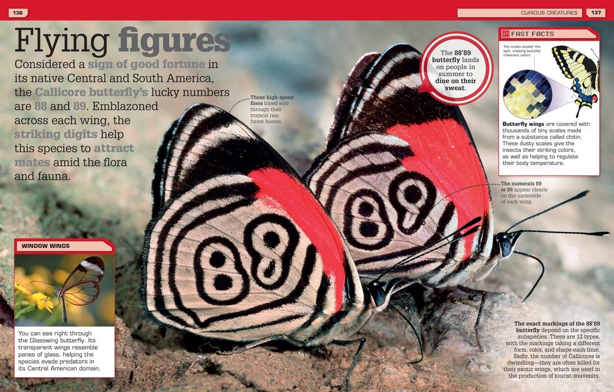 Strange But True Our Weird Wild Wonderful World by Dorling Kindersley 4