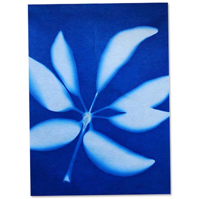 Sun Art Solar Paper Small Kit by TEDCO 2