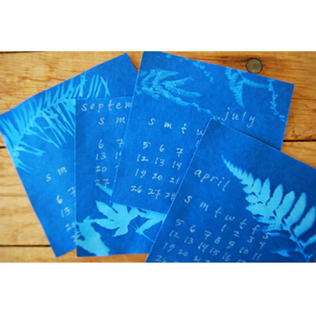 Sun Art Solar Paper Small Kit by TEDCO 5