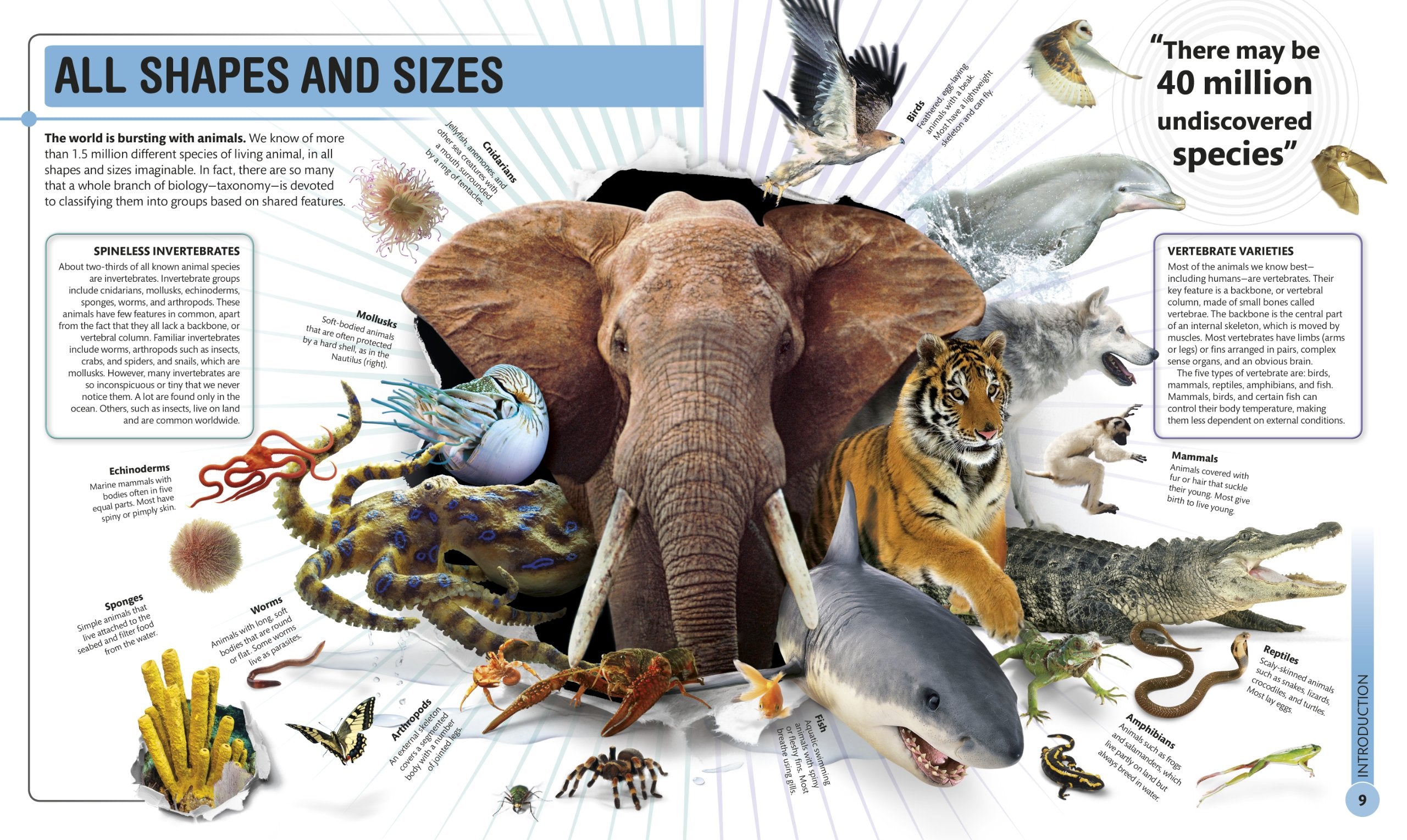 Super Nature Encyclopedia by Dorling Kindersley 1