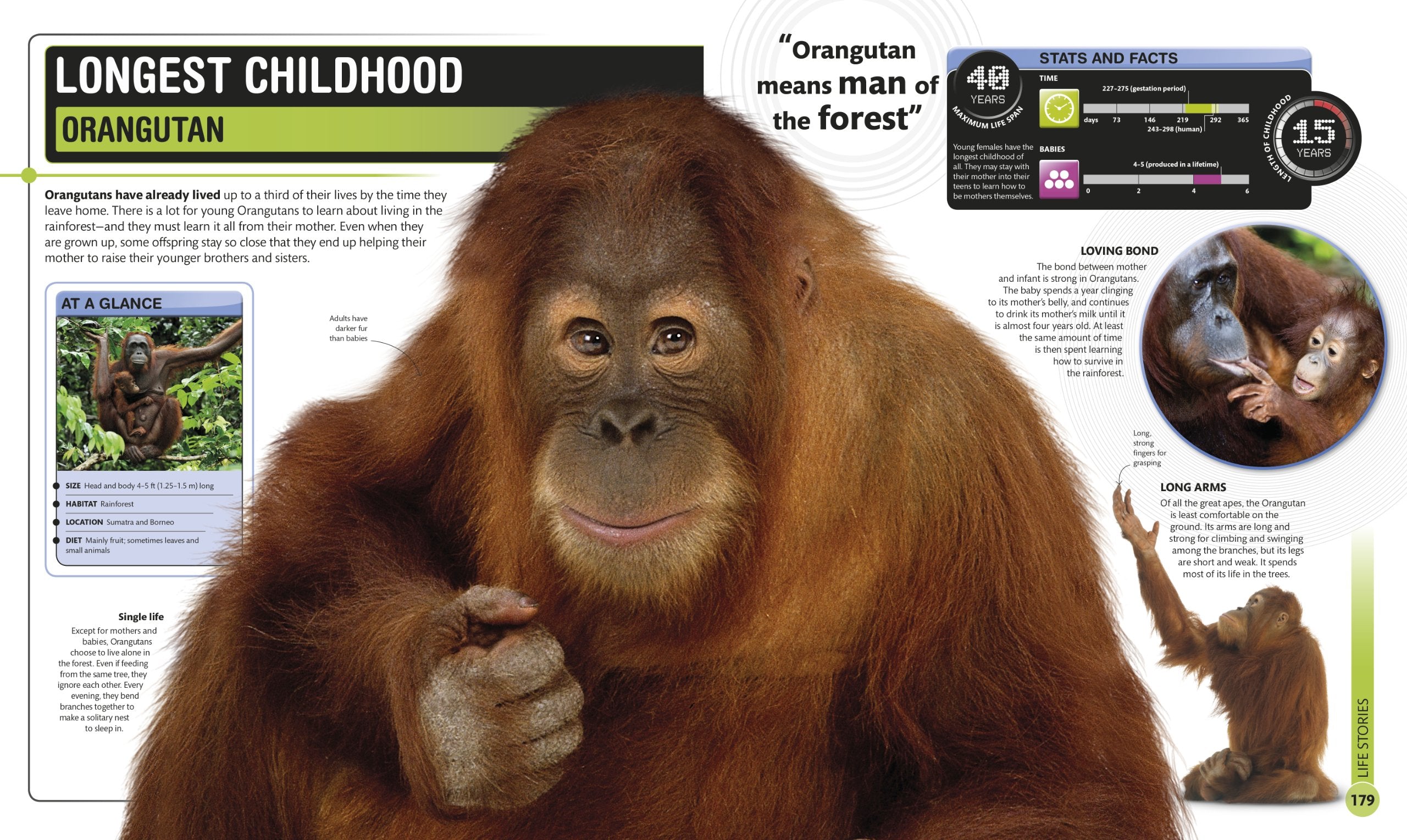 Super Nature Encyclopedia by Dorling Kindersley 4