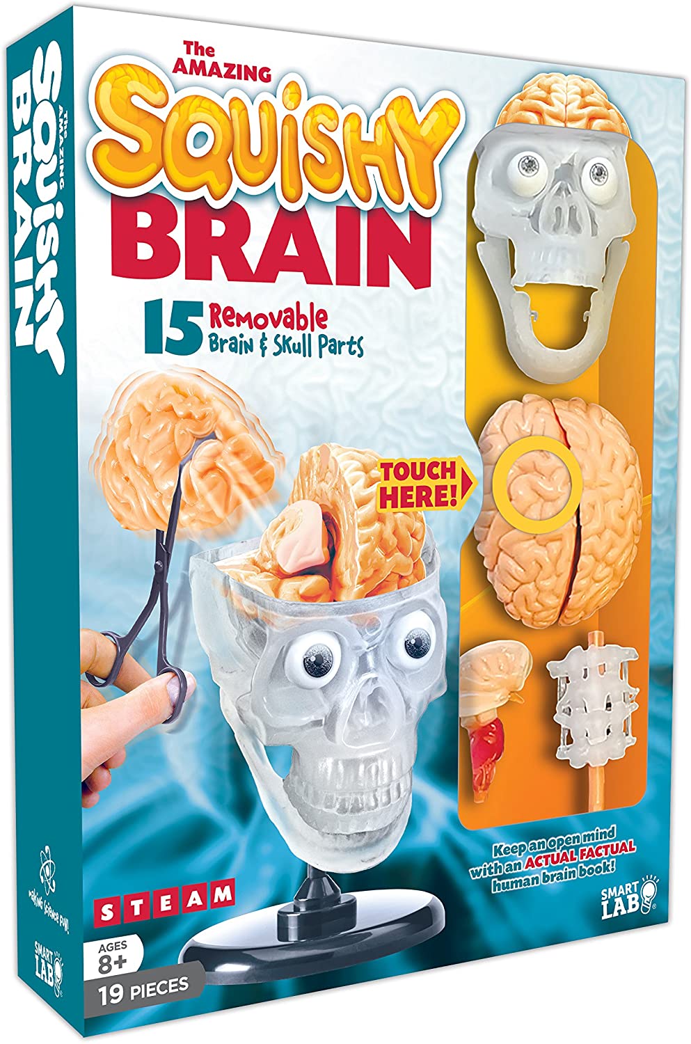 The Amazing Squishy Brain by SmartLab