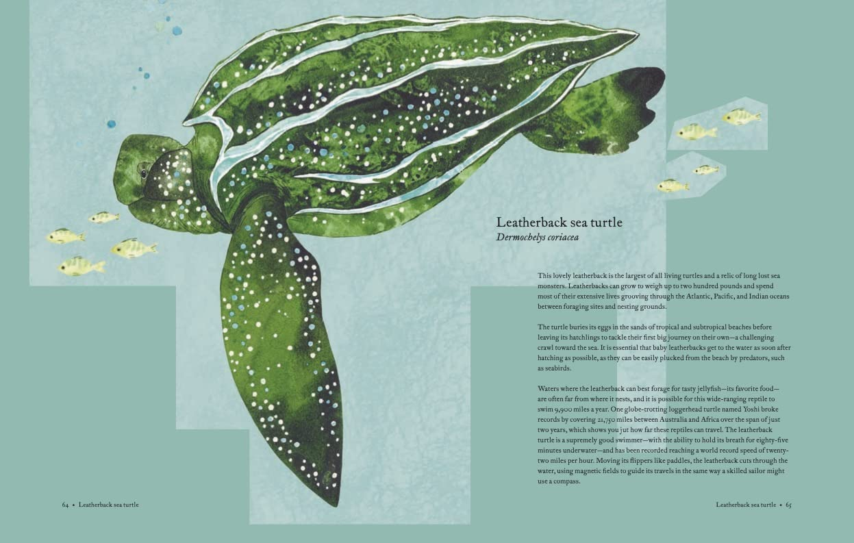 The Atlas of Migrating Plants and Animals by Chronicle Books 6