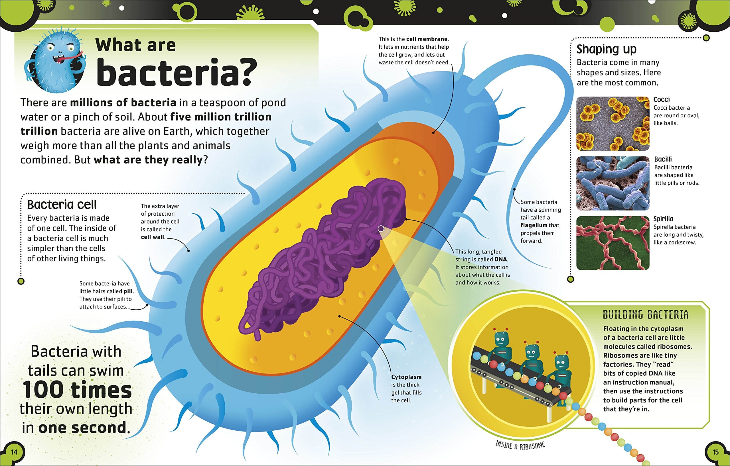 The Bacteria Book The Big World of Really Tiny Microbes by Dorling Kindersley 1