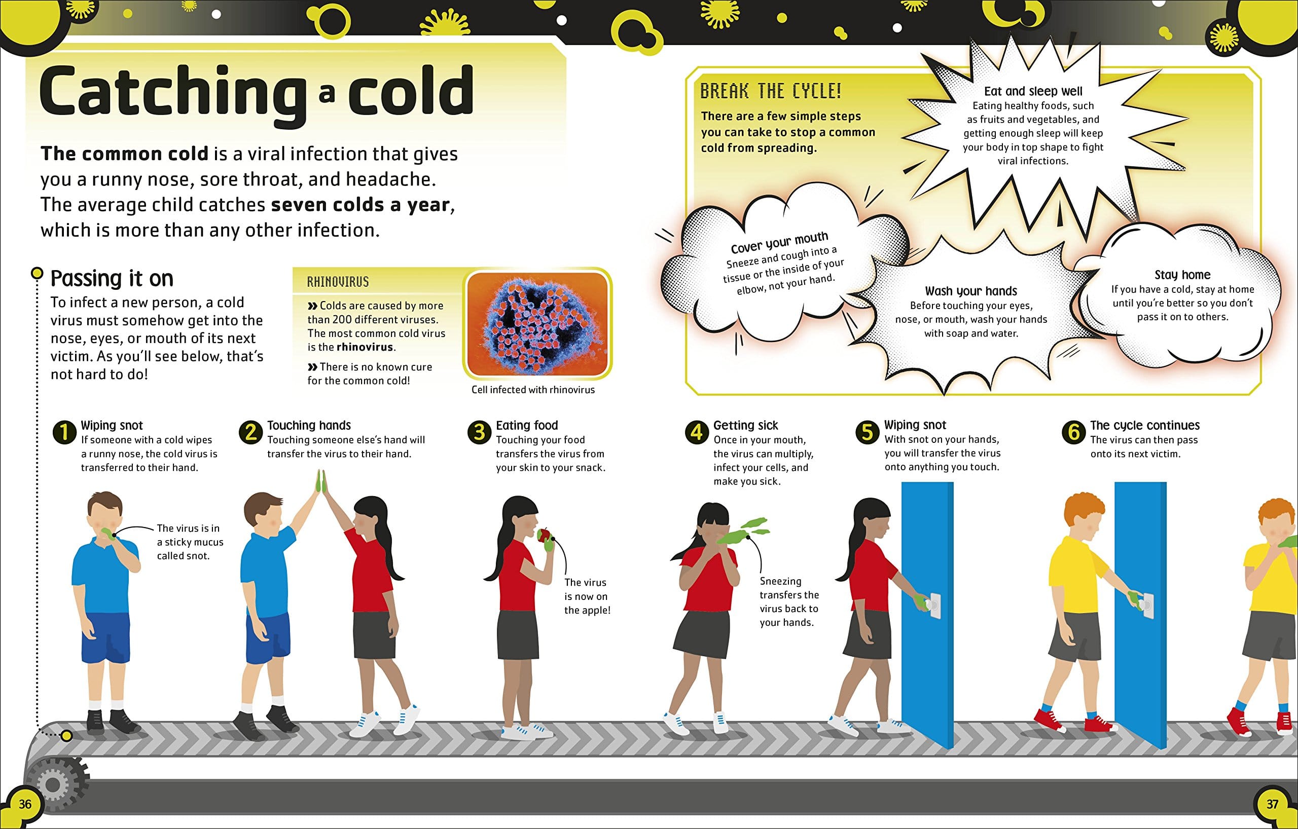 The Bacteria Book The Big World of Really Tiny Microbes by Dorling Kindersley 4