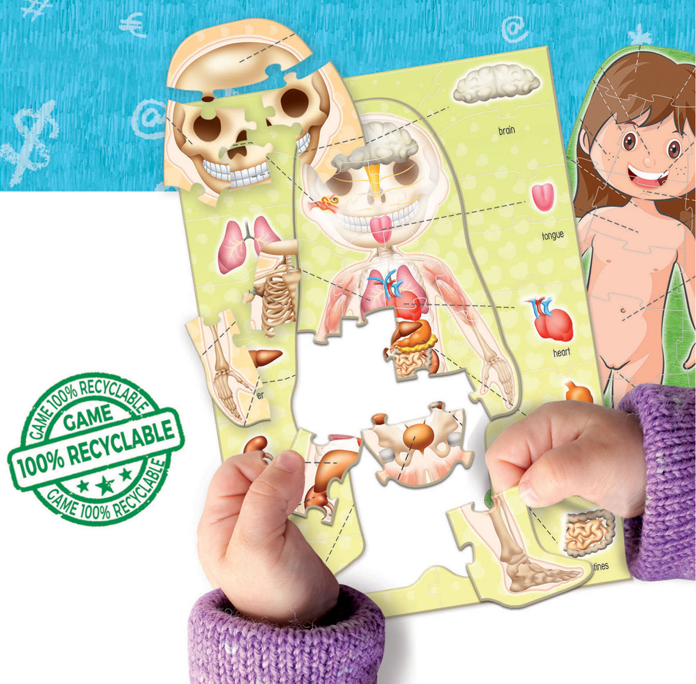 The Human Body Puzzle by Educa 1