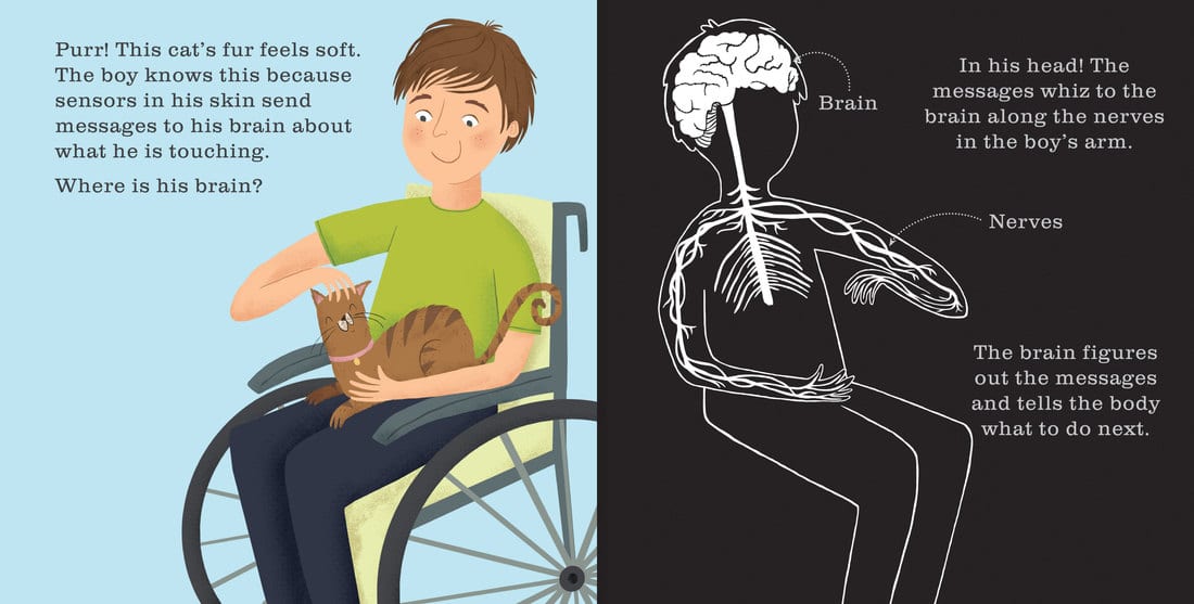 The Human Body Shine a Light by Kane Miller 1