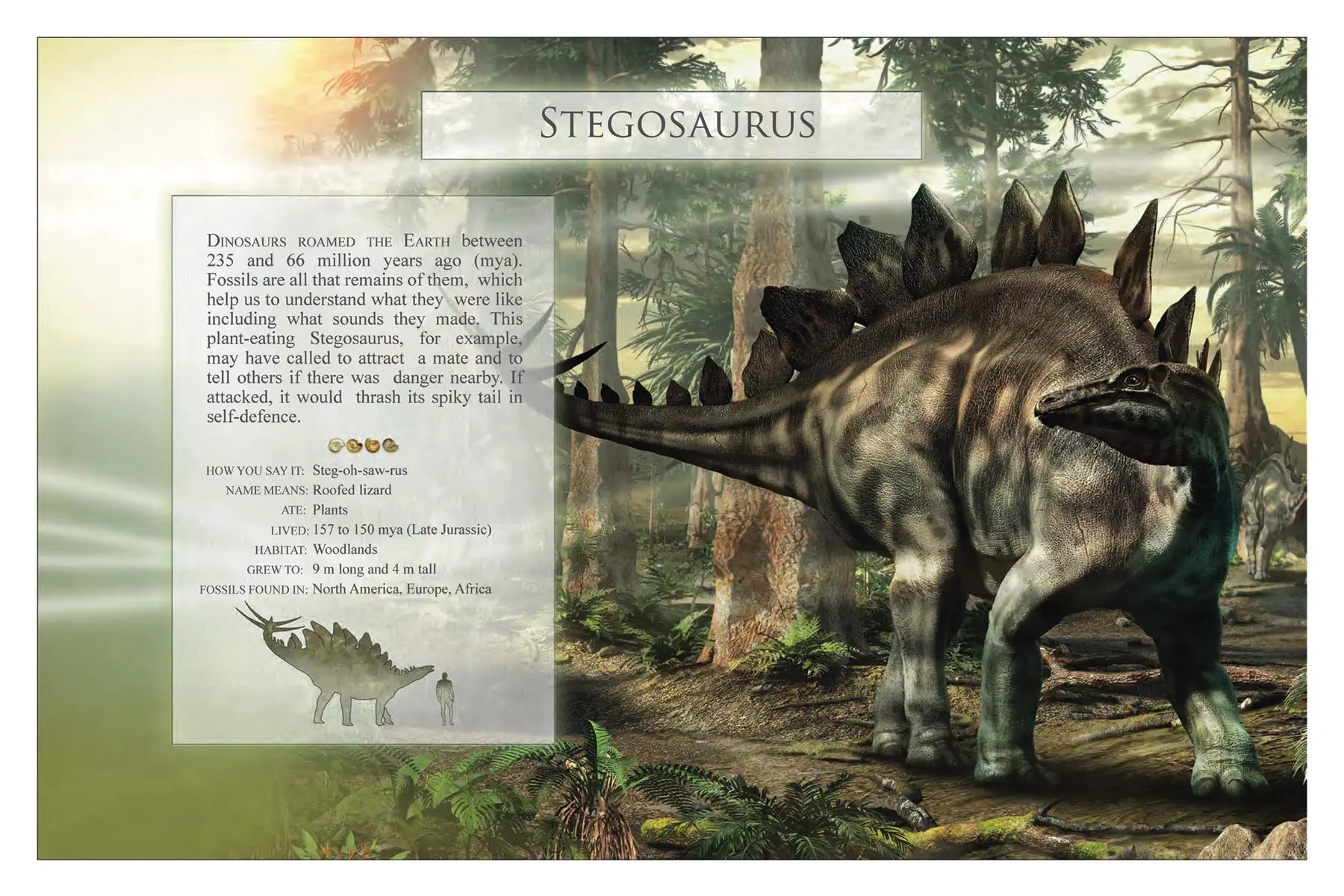 The Little Book of Dinosaur Sounds by Firefly Books 1