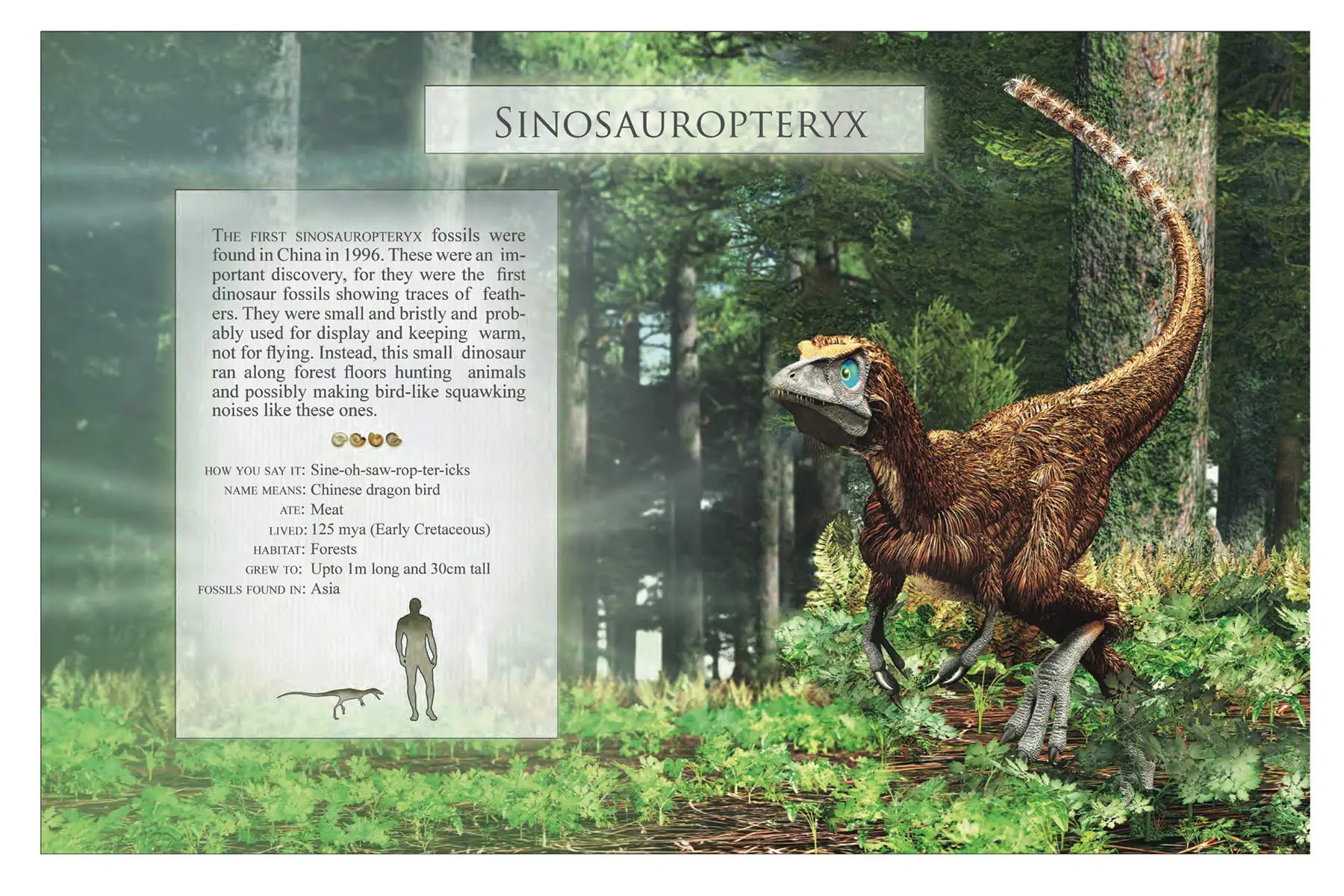 The Little Book of Dinosaur Sounds by Firefly Books 4