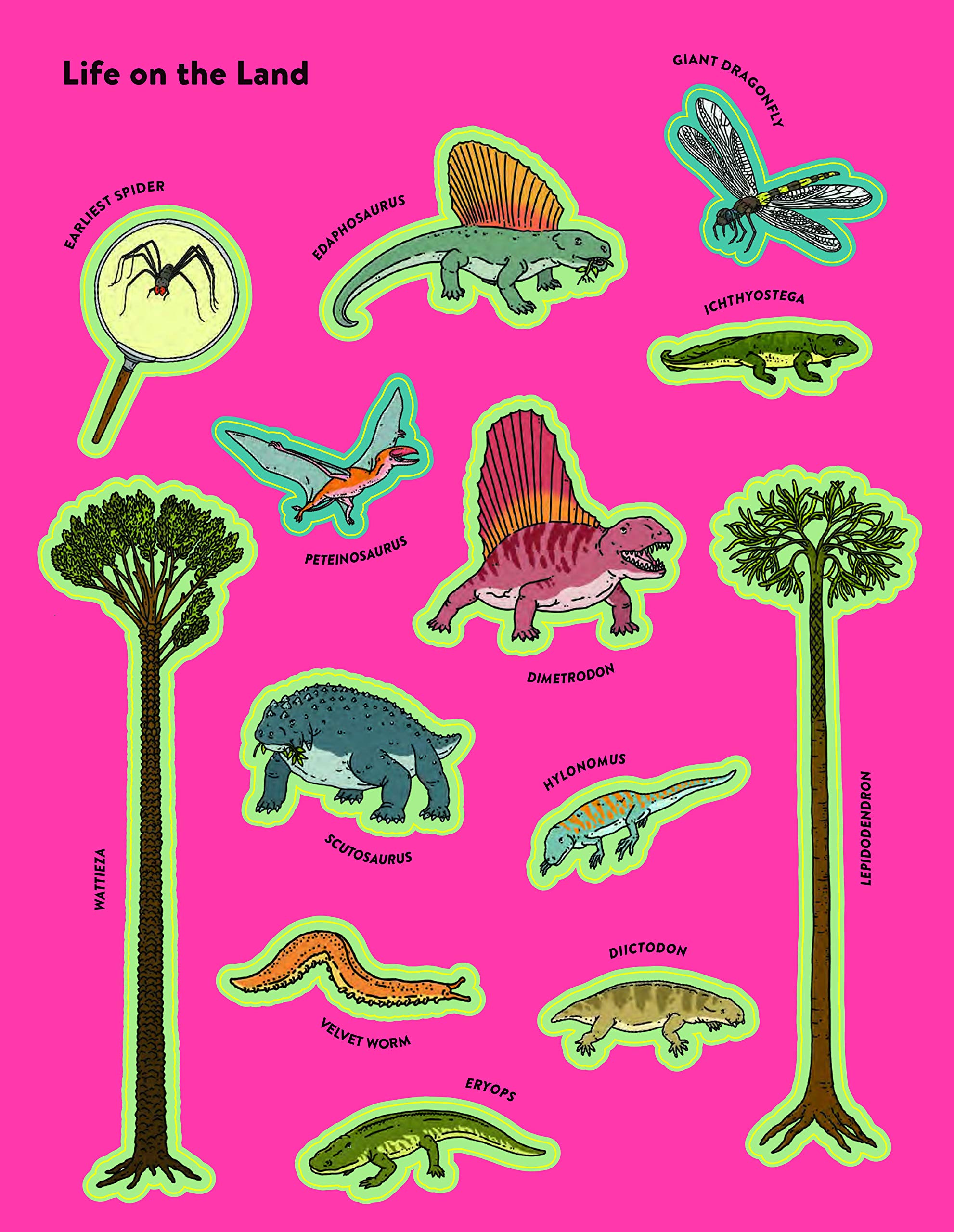 The Nature Timeline Stickerbook by What on Earth Publishing 4