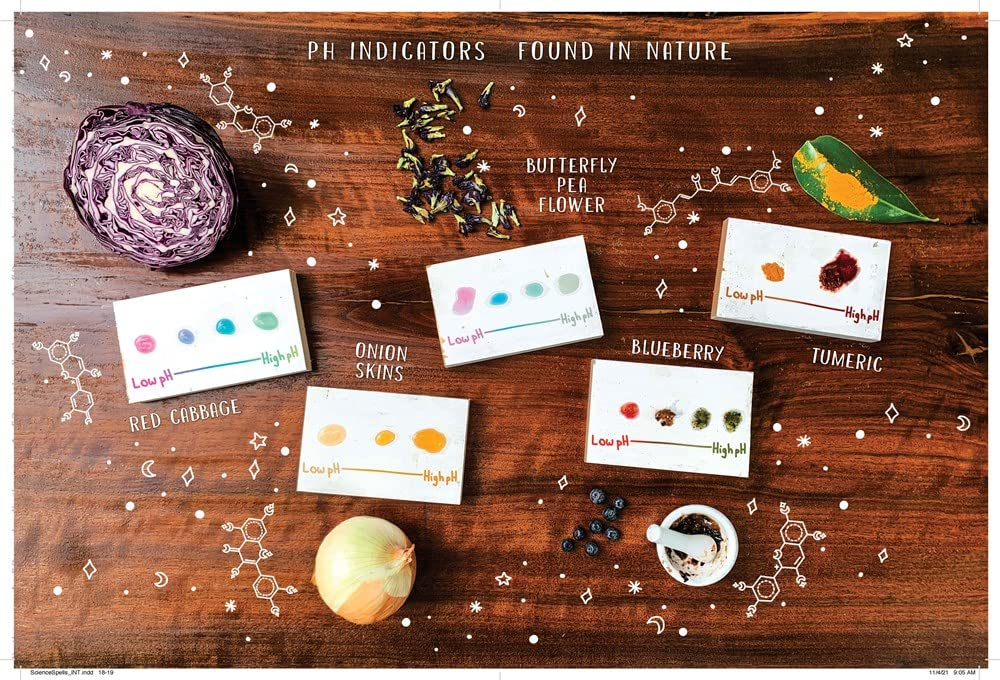 The Science Spell Book 30 Enchanting Experiments for Kids by Sourcebooks 2