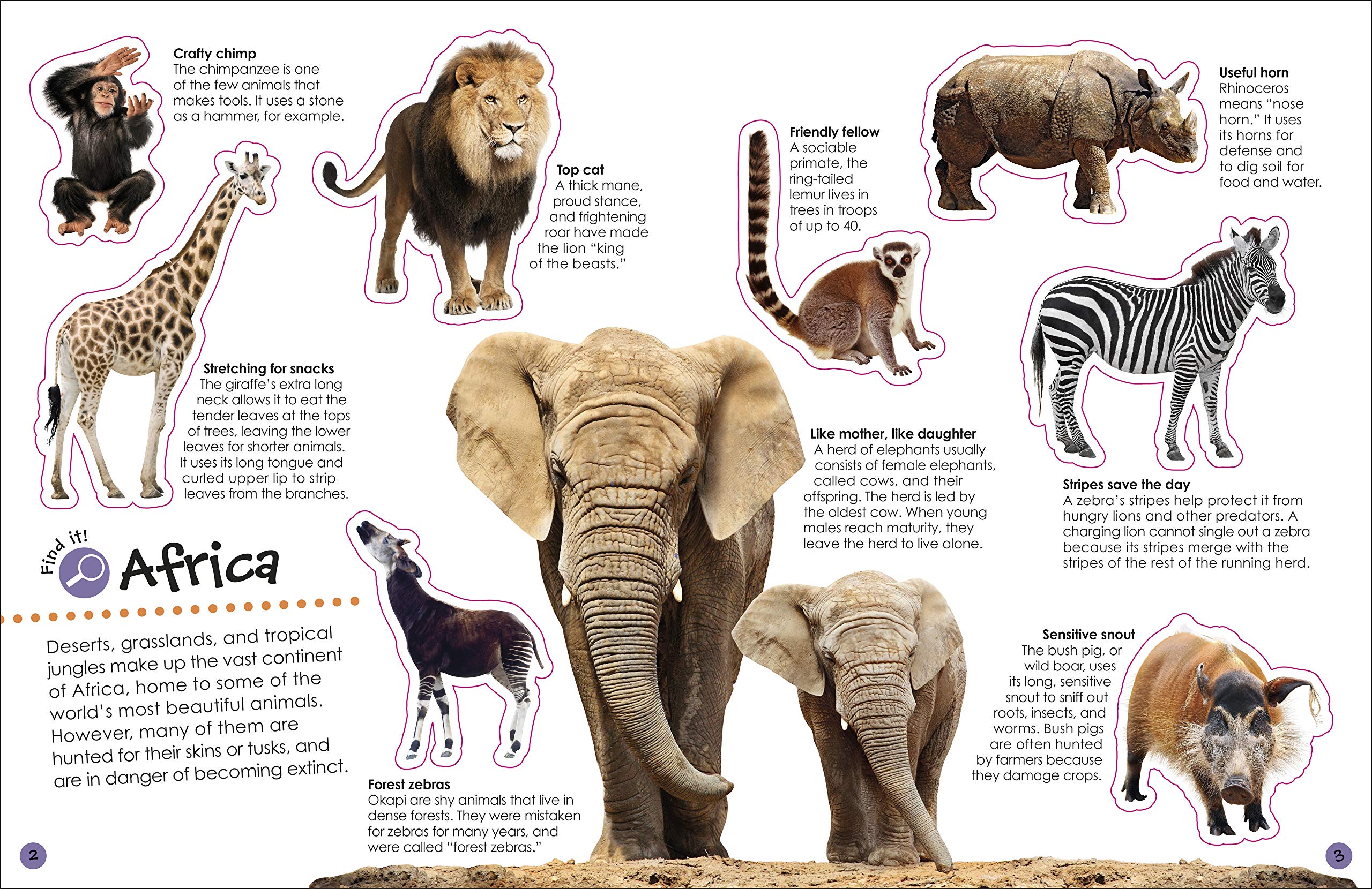 The Ultimate Sticker Book Animals by Dorling Kindersley 1