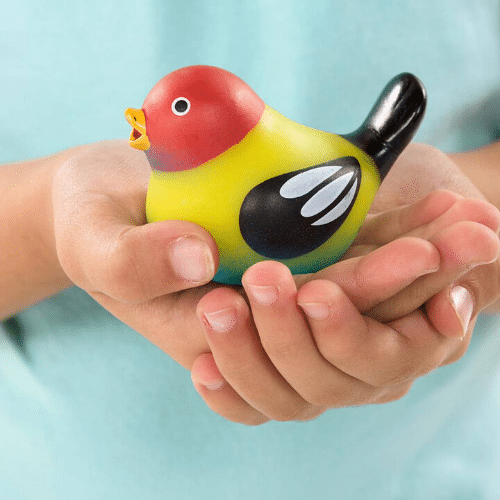 Touch and Tweet Bird by Schylling