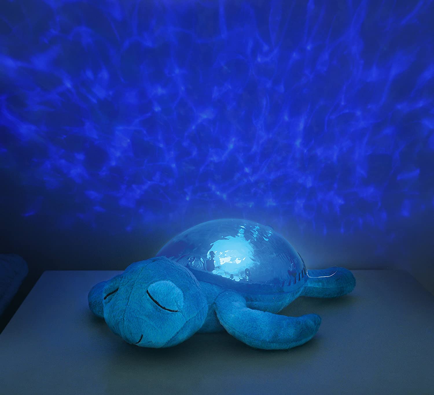 Tranquil Turtle by Cloud B 1