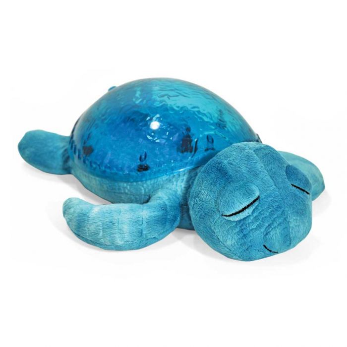 Tranquil Turtle by Cloud B