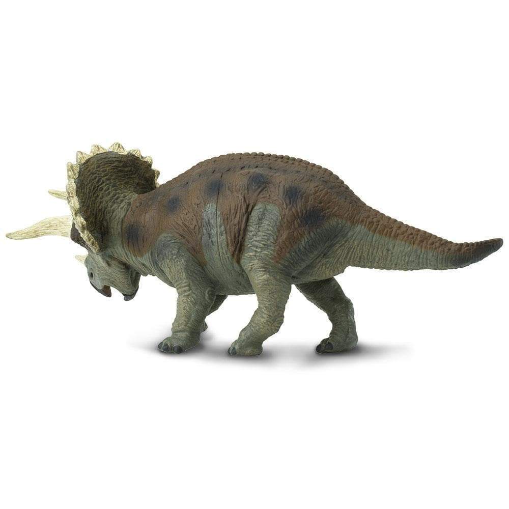 Triceratops Figure by Safari 3