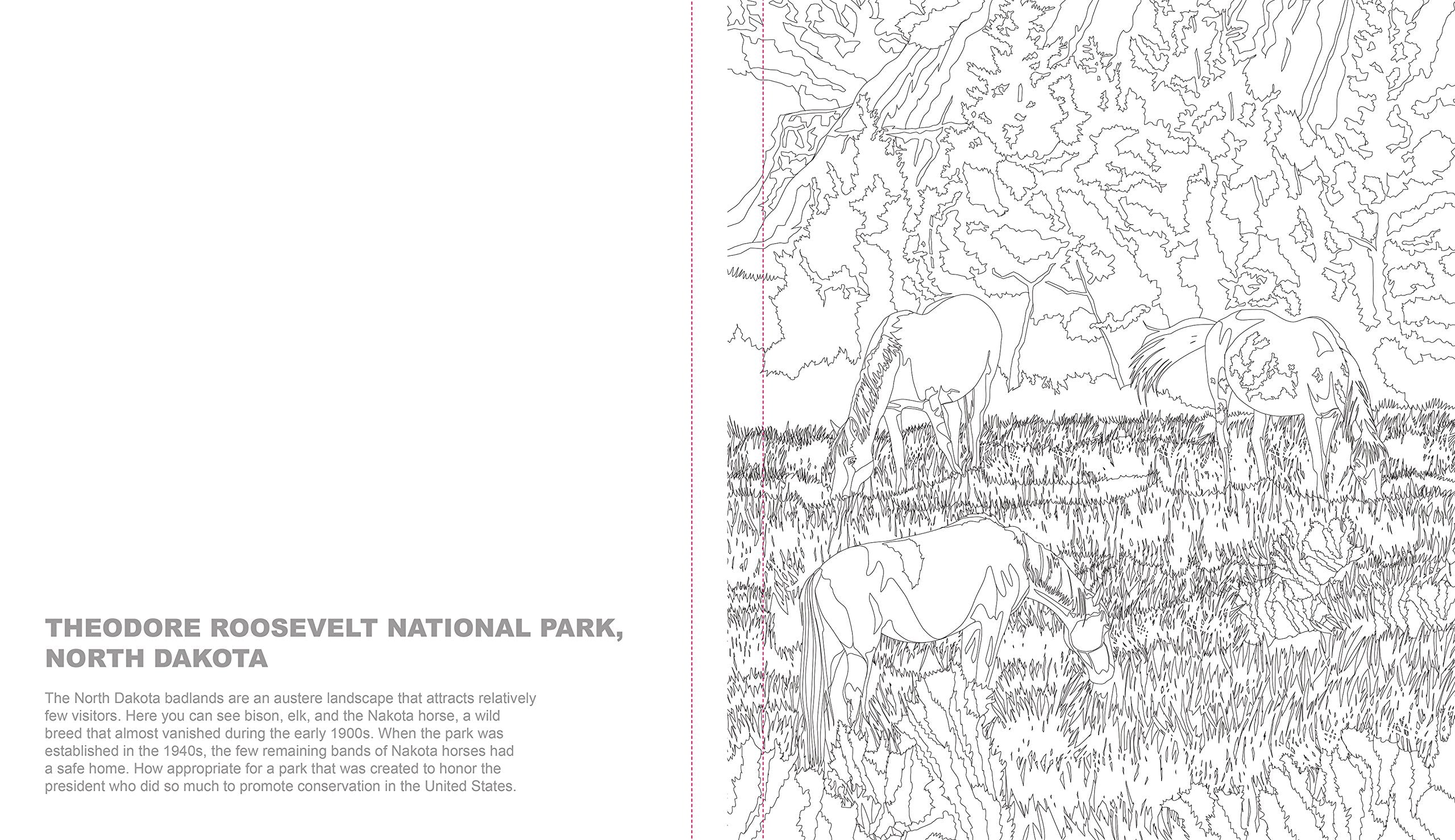 Ultimate Coloring National Parks A Colorful Adventure Into the Great Outdoors by Thunder Bay Press 4