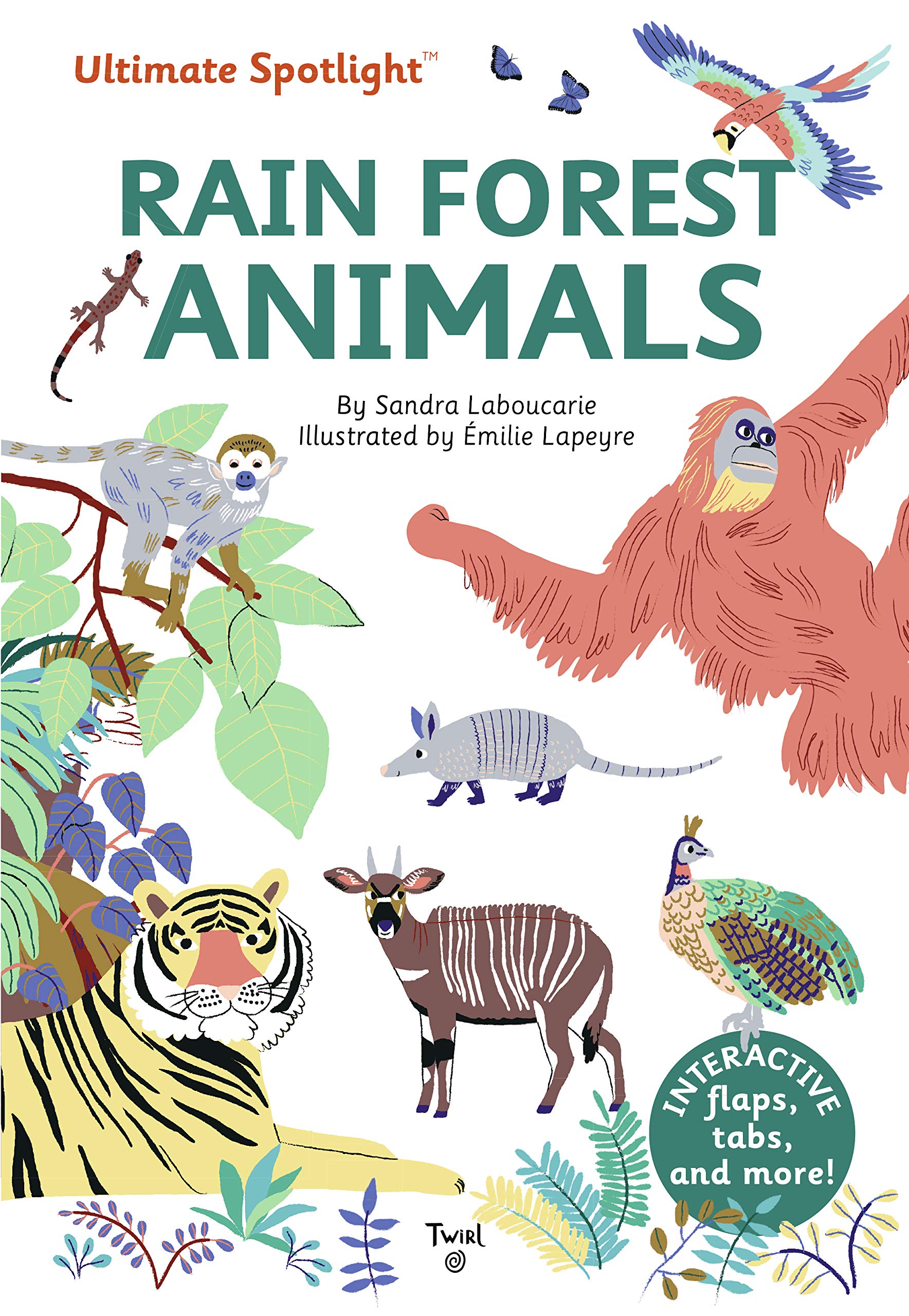Ultimate Spotlight Rain Forest Animals by Chronicle Books