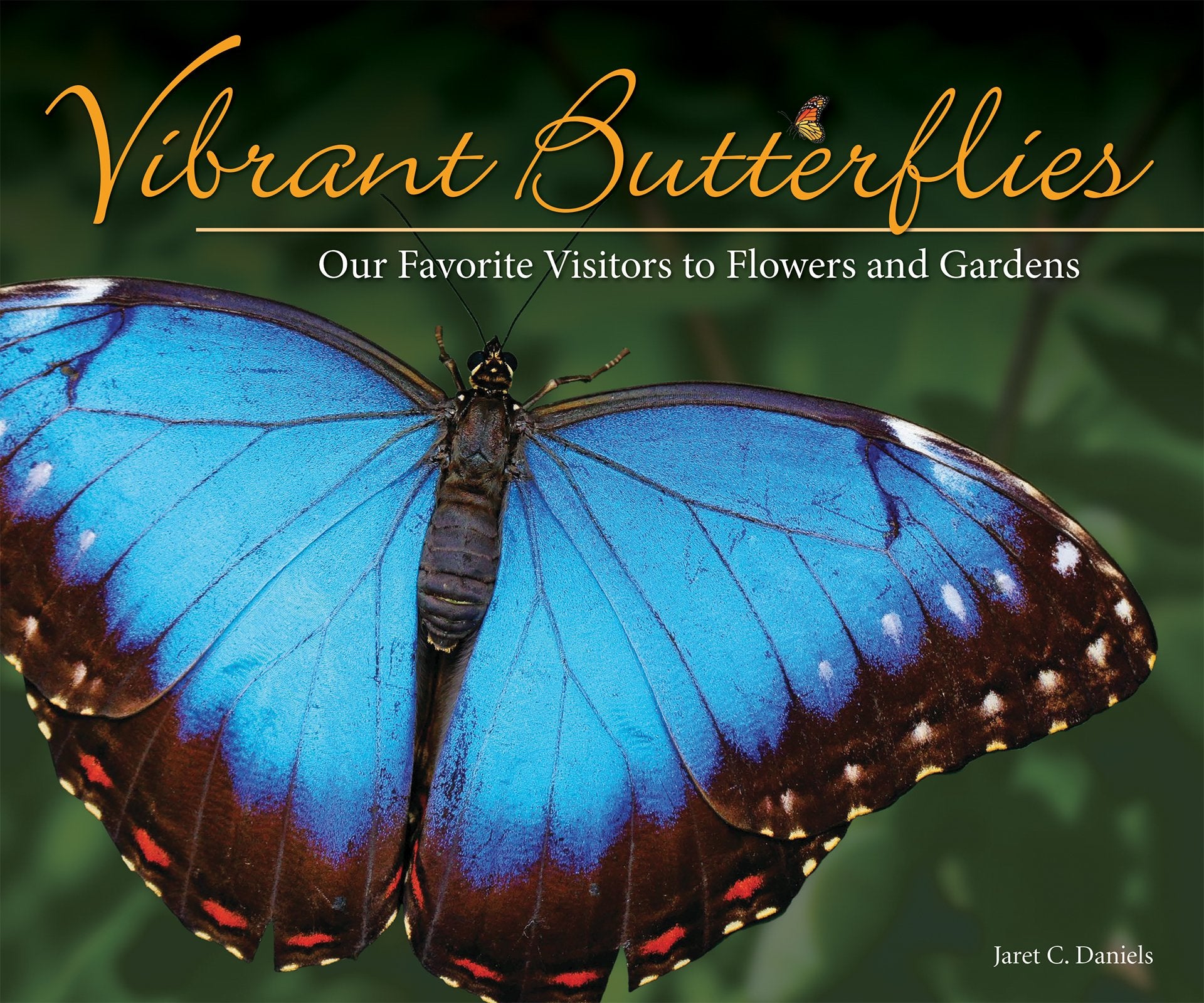 Vibrant Butterflies Our Favorite Visitors to Flowers and Gardens by Adventure Keen