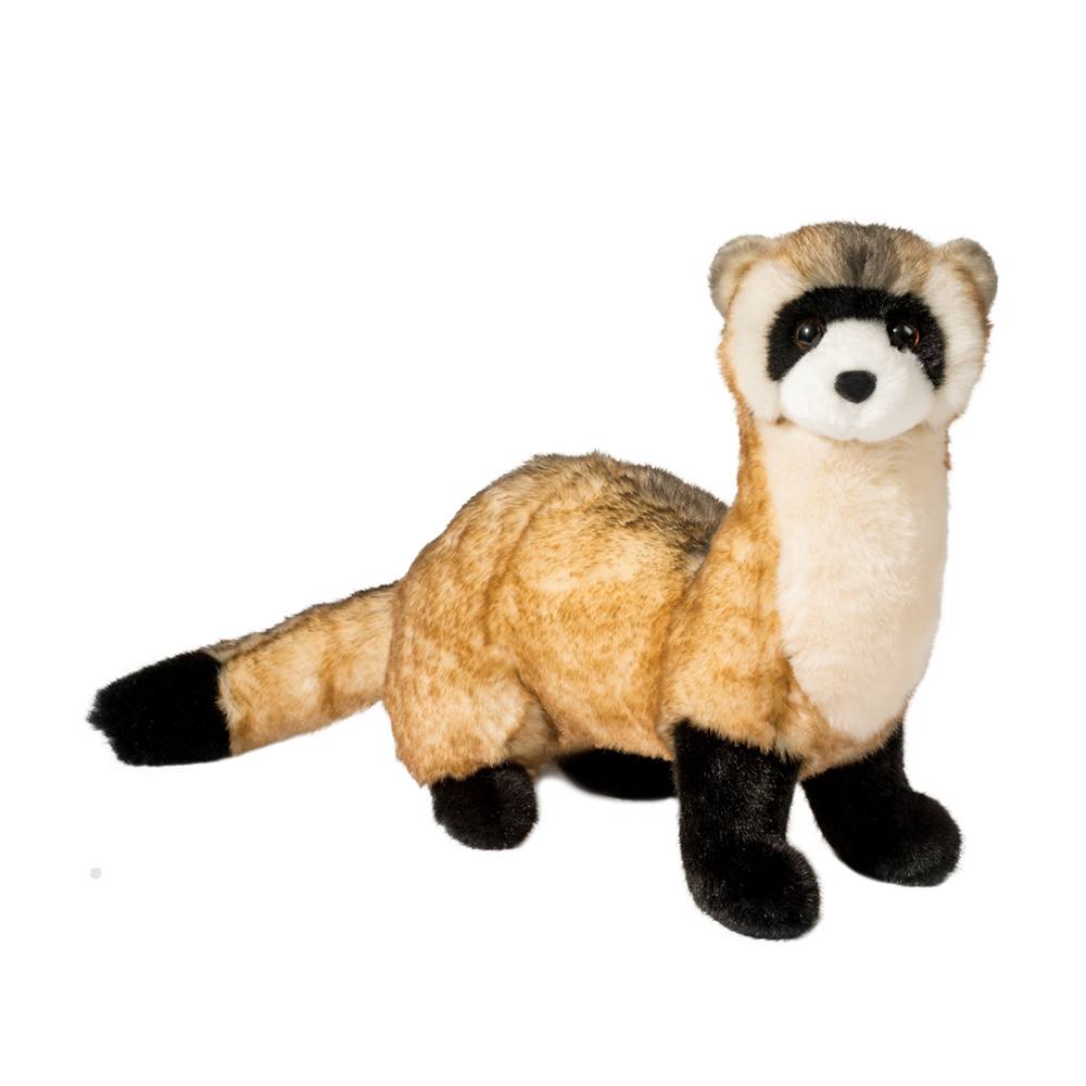 Vince Black Footed Ferret by Douglas