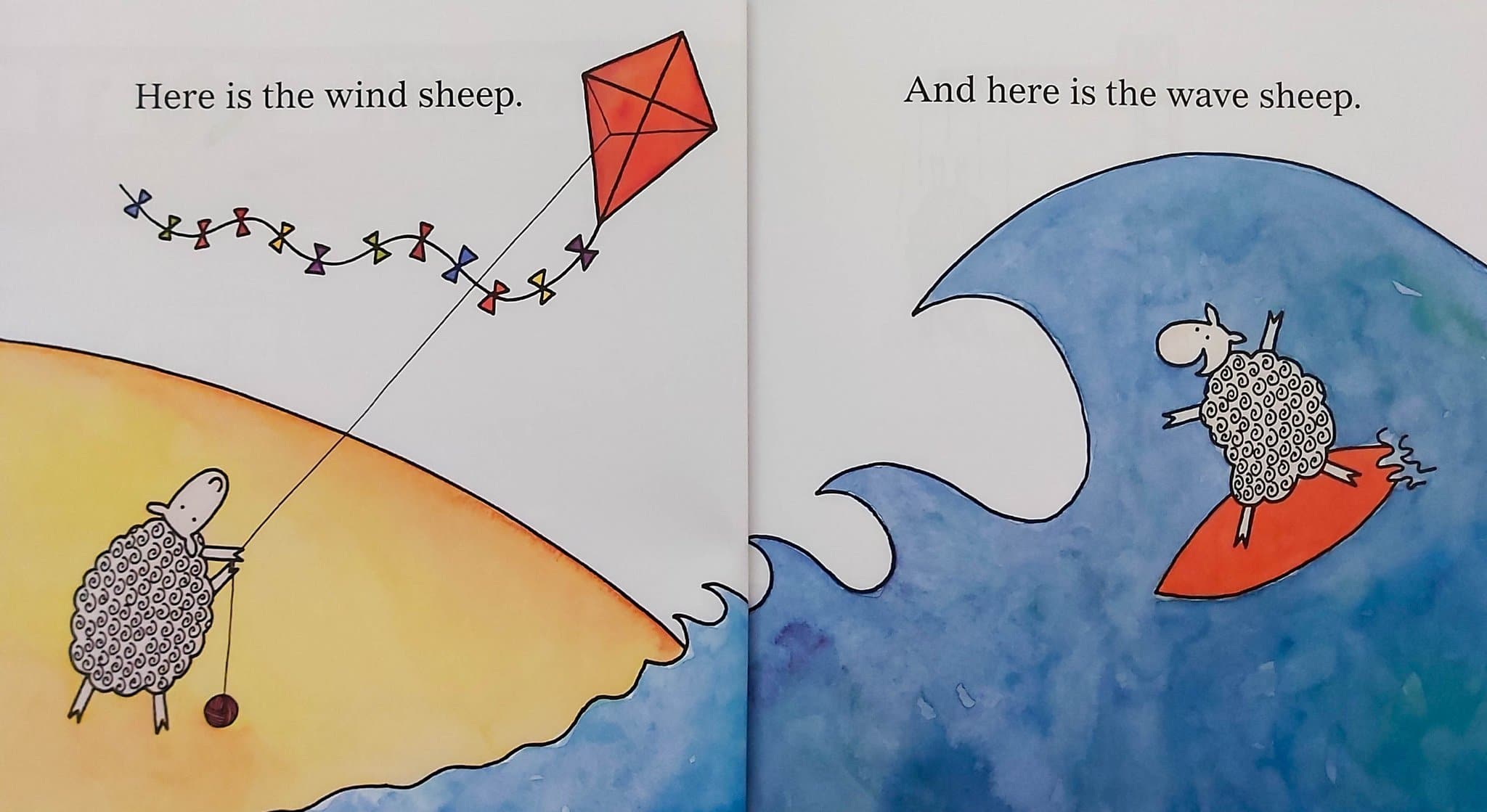 Where Is The Green Sheep by HMH Books 4