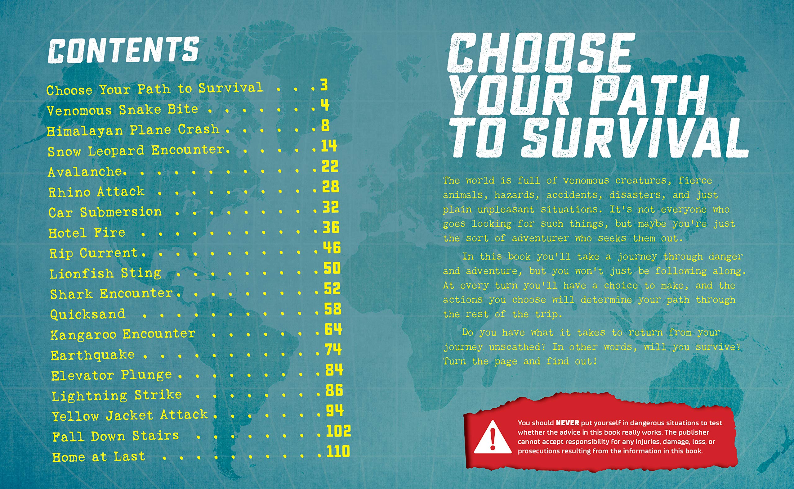 Will You Survive by Beker Mayer 1