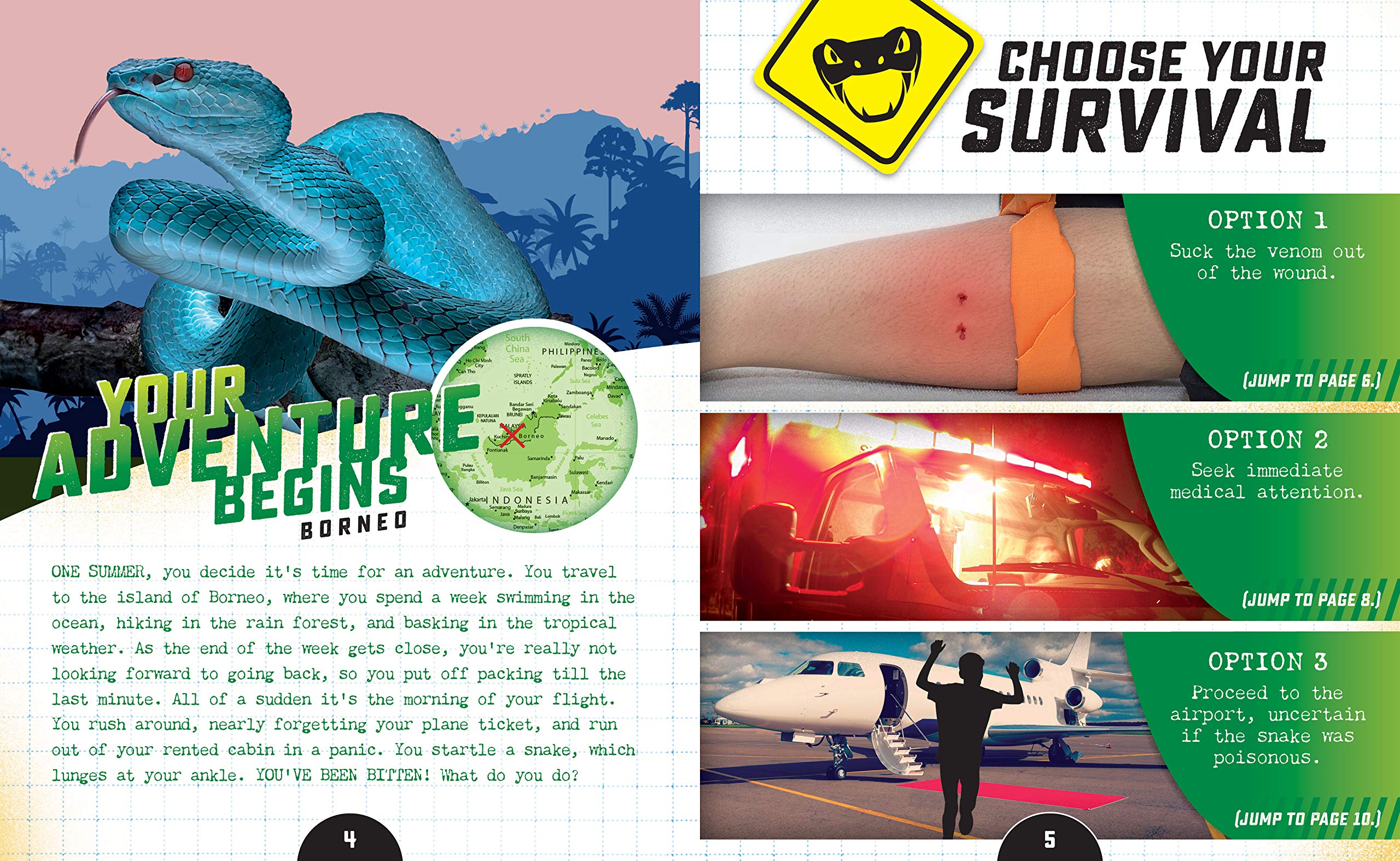 Will You Survive by Beker Mayer 2