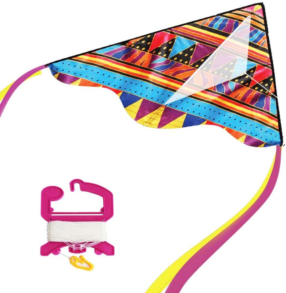 Wind Delta Kite by WindNSun 3