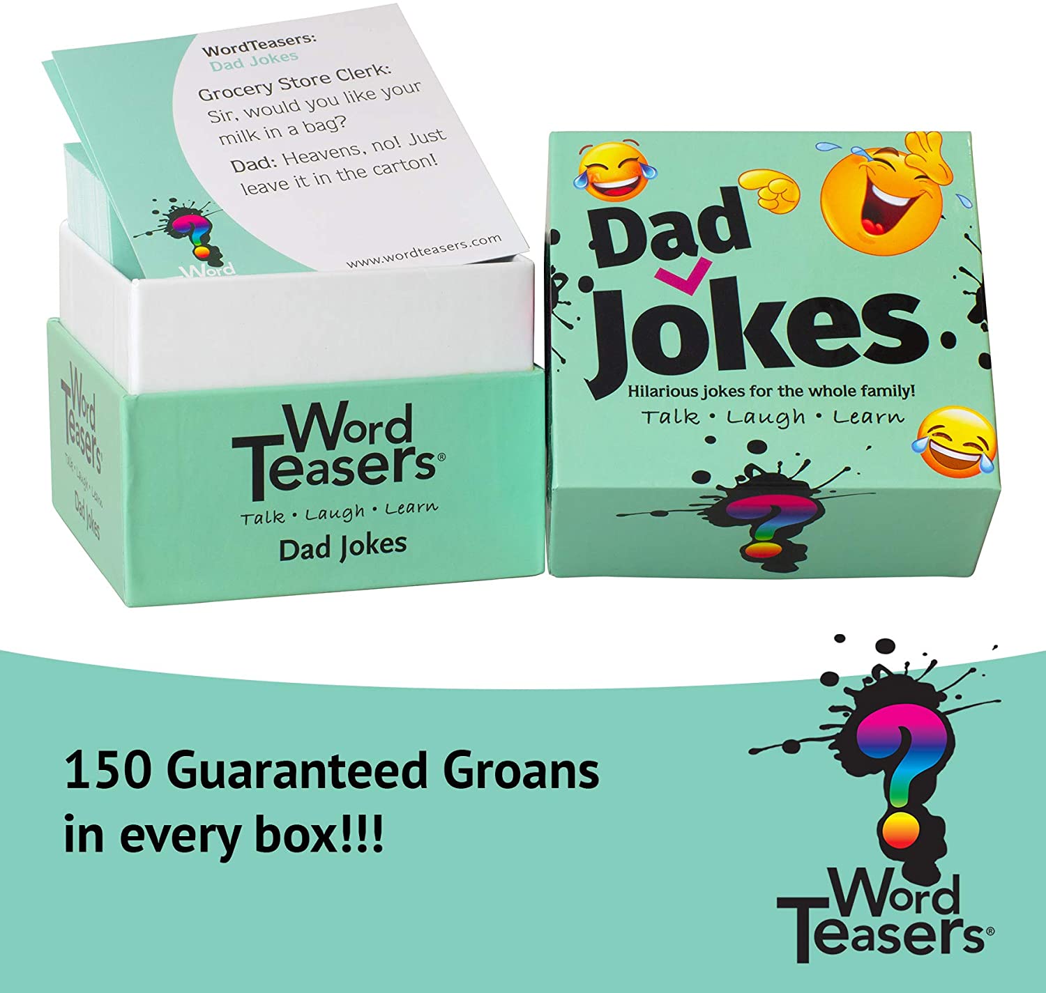 Word Teasers Dad Jokes by ELM 1