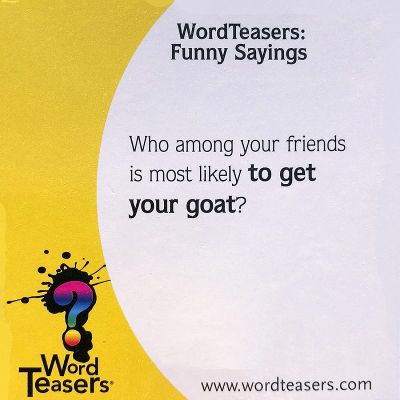 Word Teasers Funny Sayings by ELM 1