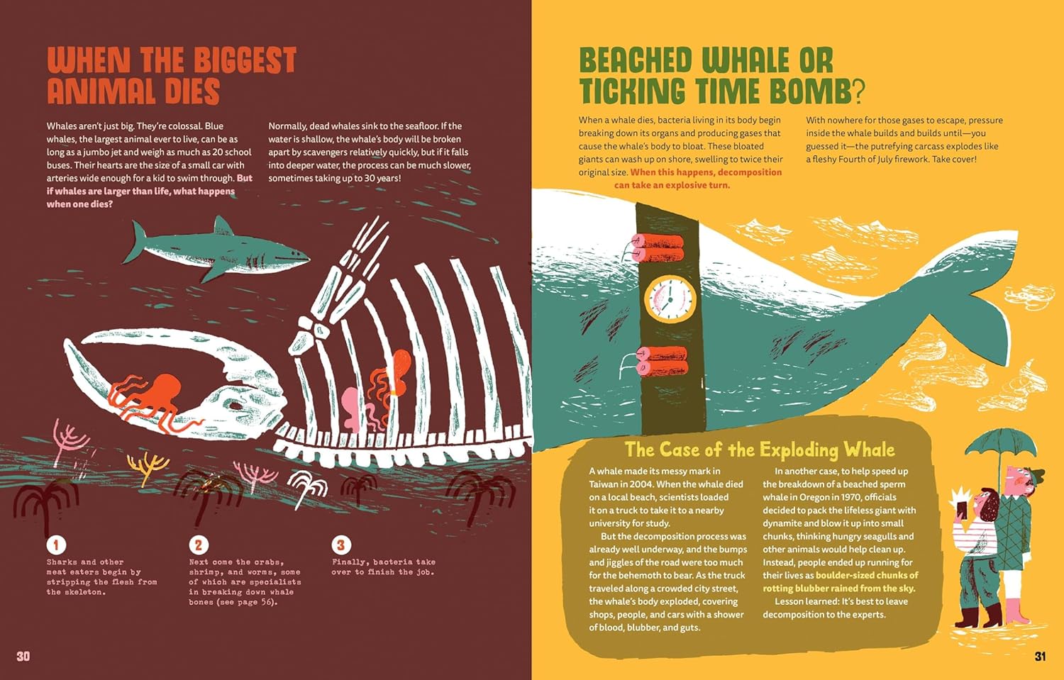 Super-Cool Decomposers We Couldn’t Live Without-by-Little Brown