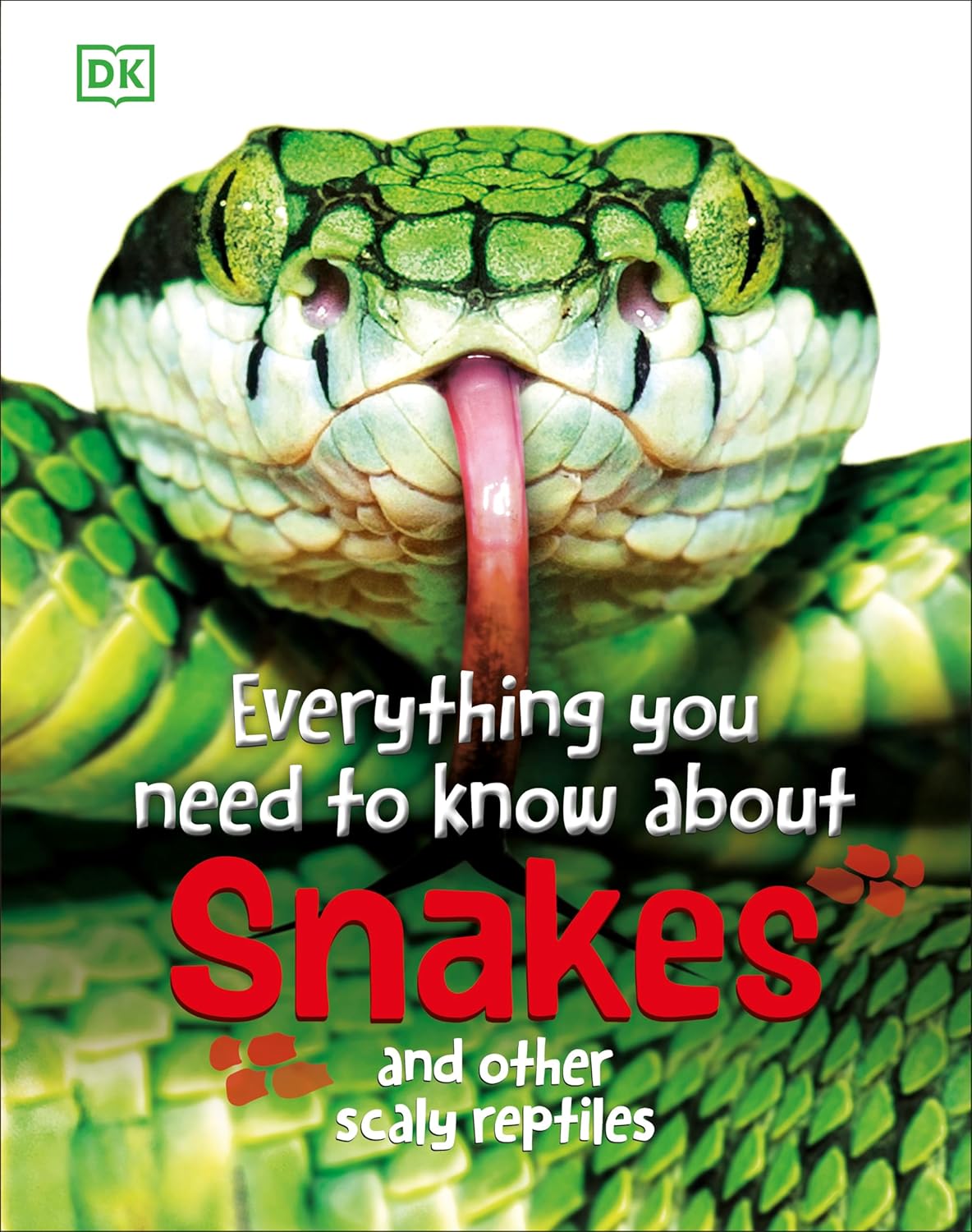 Everything You Need to Know About Snakes: And Other Scaly Reptiles by DK Publishing