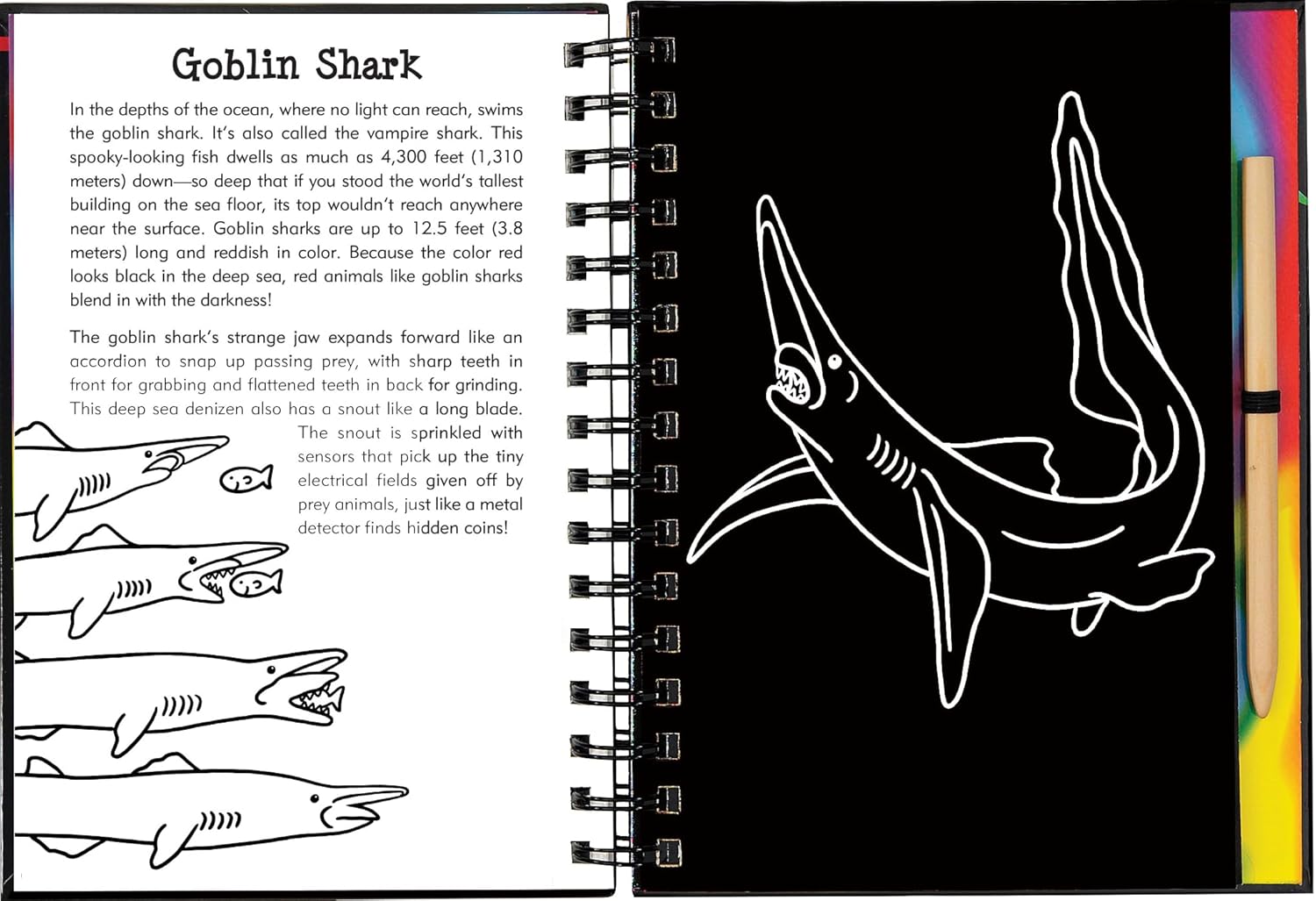 Scratch & Sketch Sharks by Peter Pauper Press