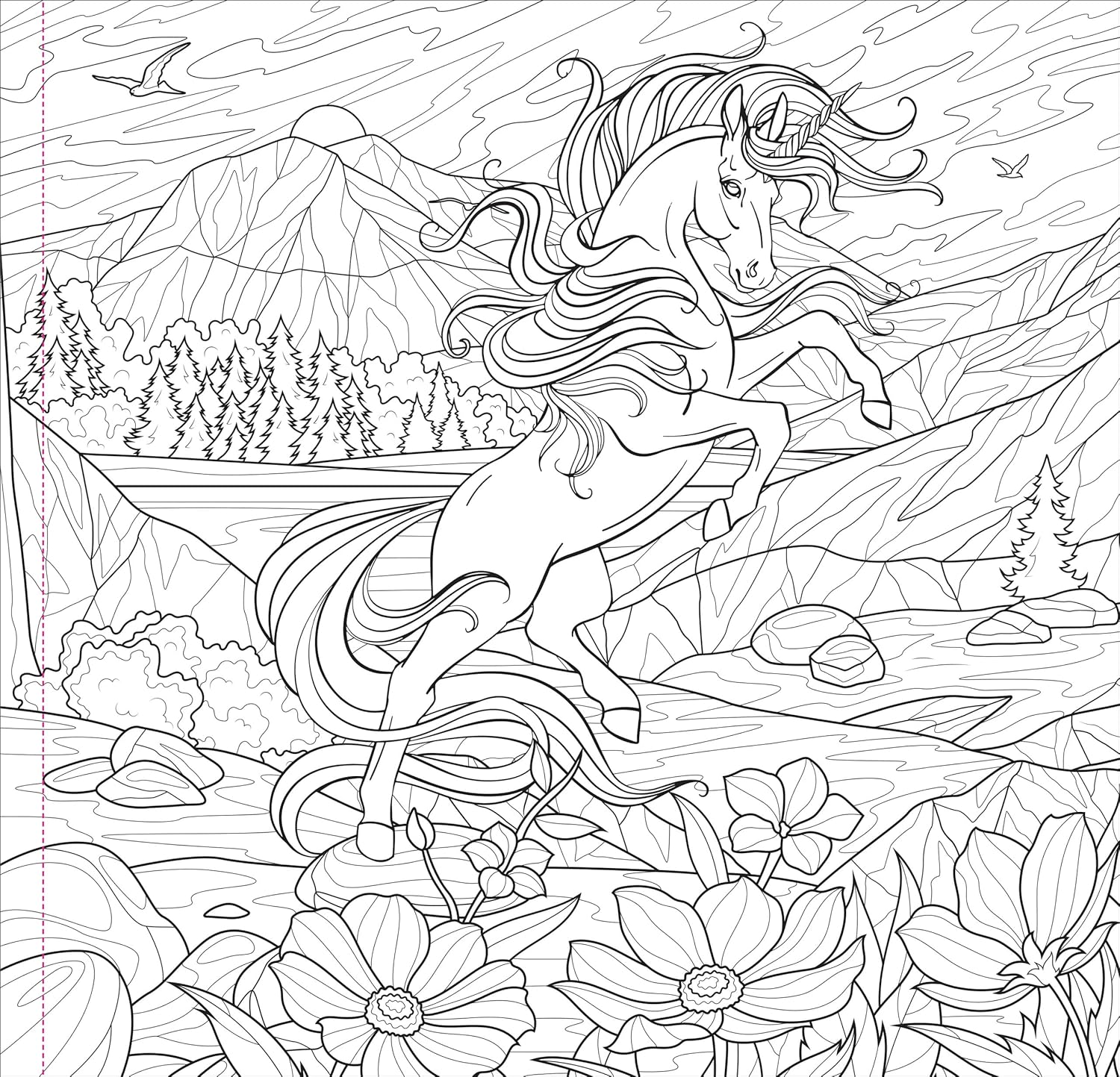 Enchanted Kingdom Adult Coloring Book by Peter Pauper Press