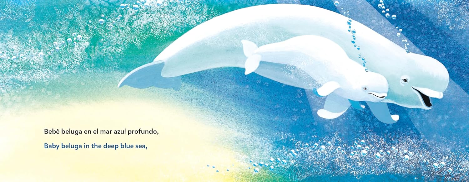 Baby Beluga/Bebé beluga (English-Spanish Bilingual Edition) by Penguin Random House