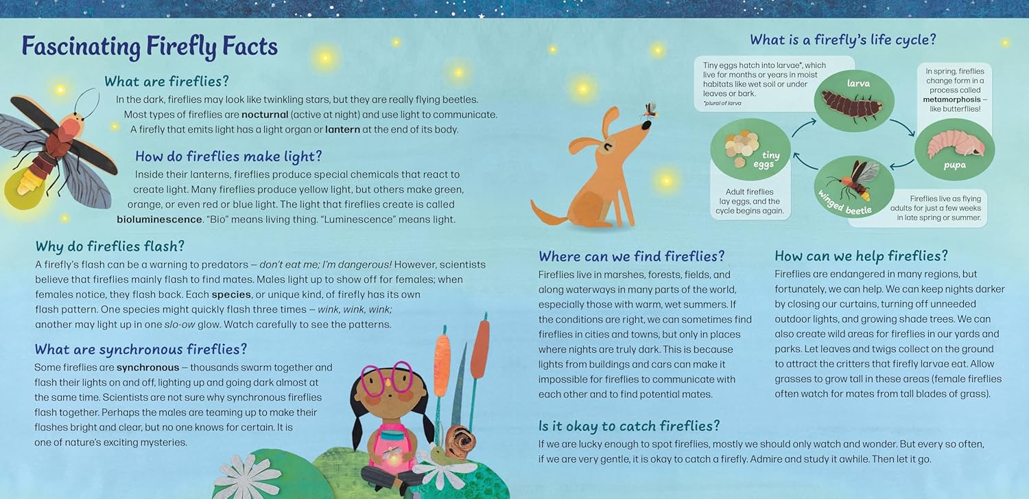 Firefly Galaxy by Barefoot Books