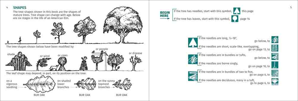 Tree Finder: A Manual for Identification of Trees by their Leaves (Eastern US) by Adventure Publications