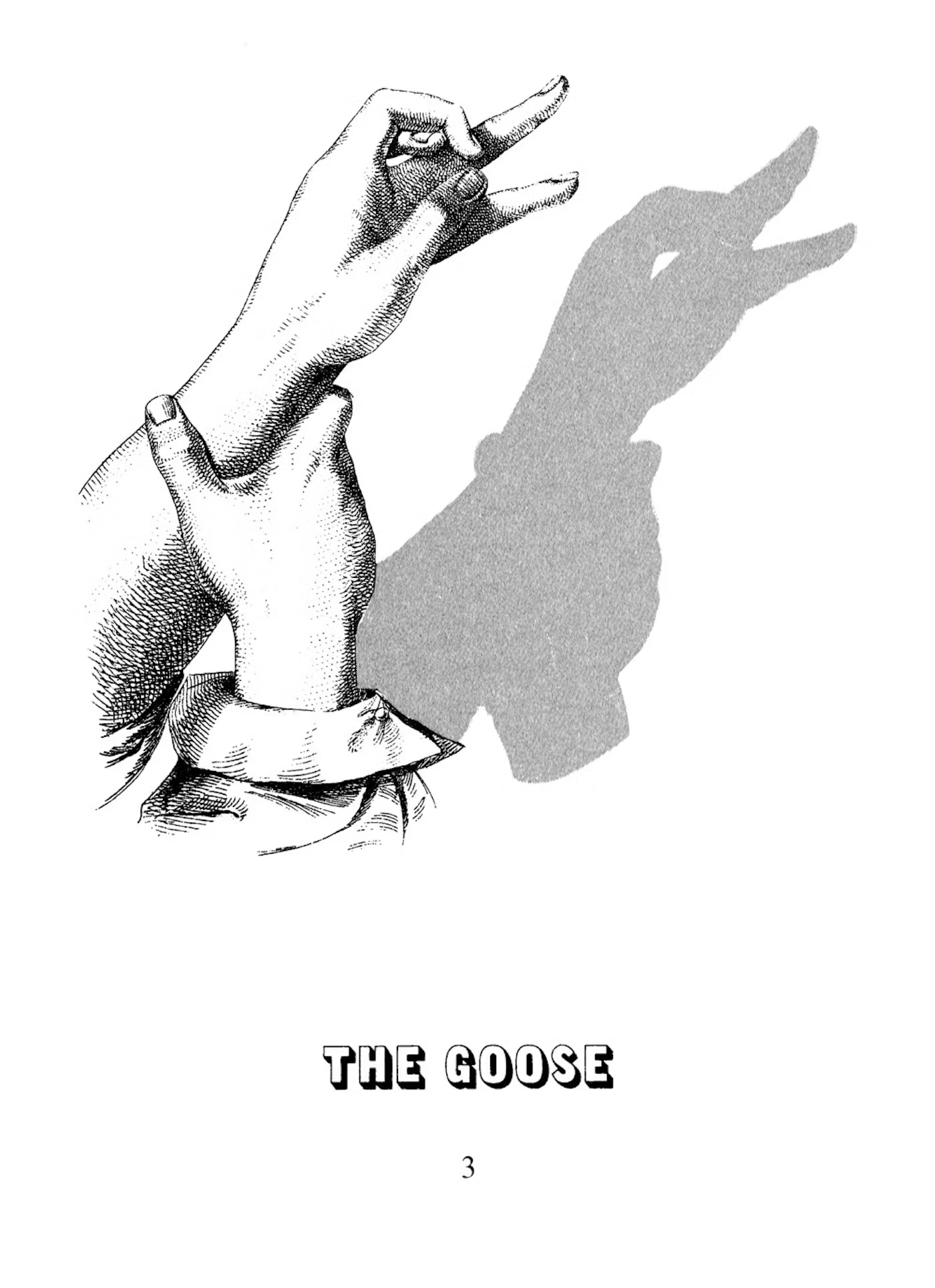 Hand Shadow Fun by Dover Publications