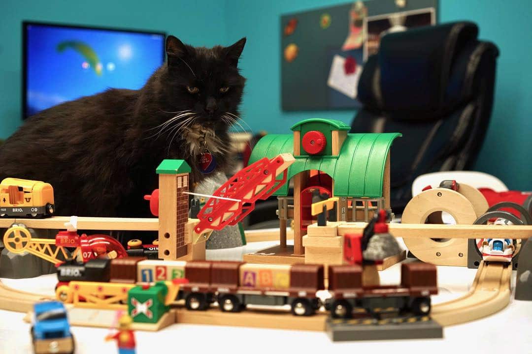 PlanesTrainsAutomobiles